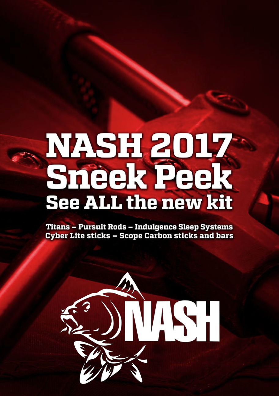 nash-2017
