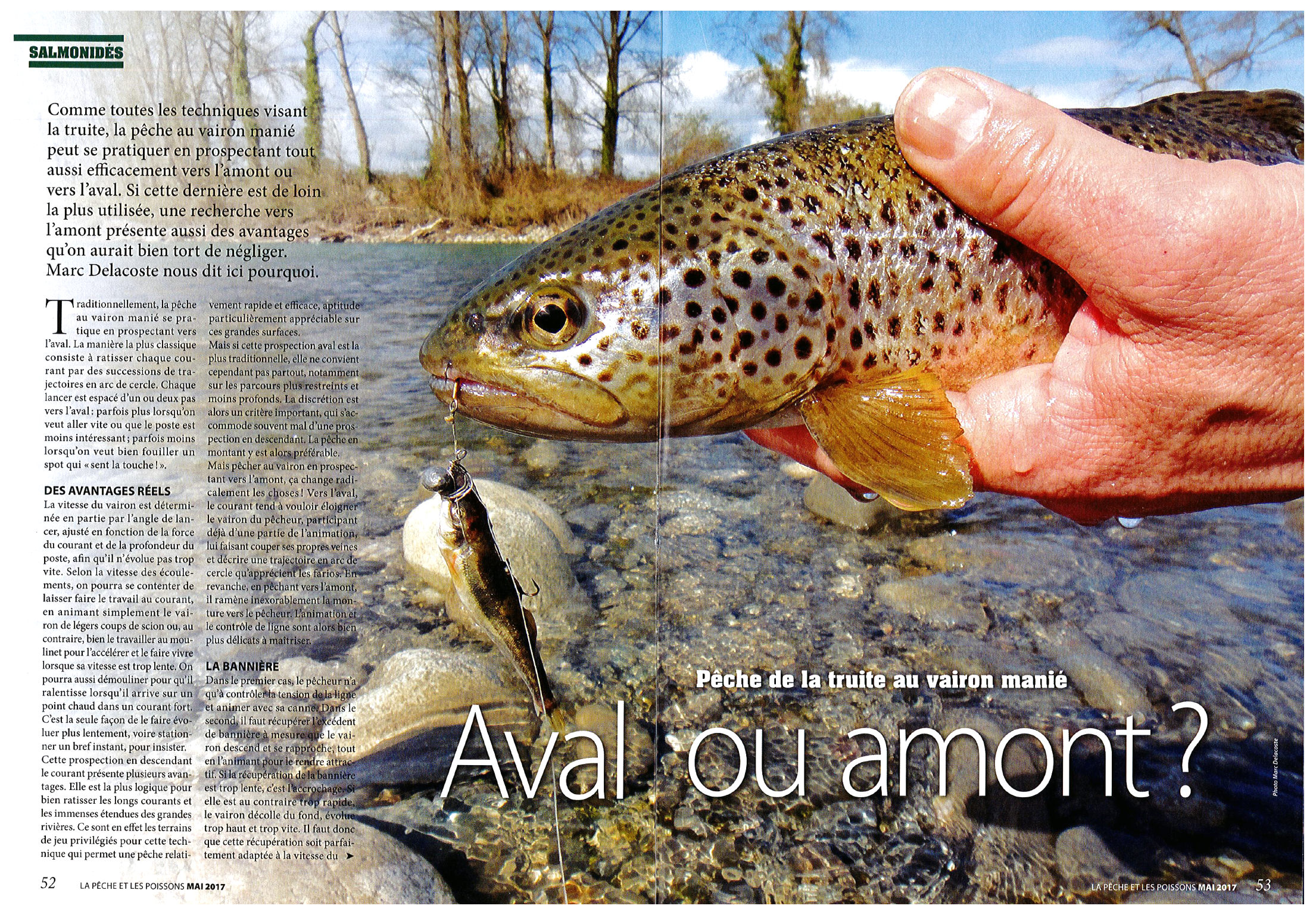 Internet le magasin pour la pêche salmo