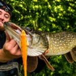 Comment choisir son moulinet big bait ?
