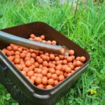 Comment fabriquer des bouillettes pour la carpe ?