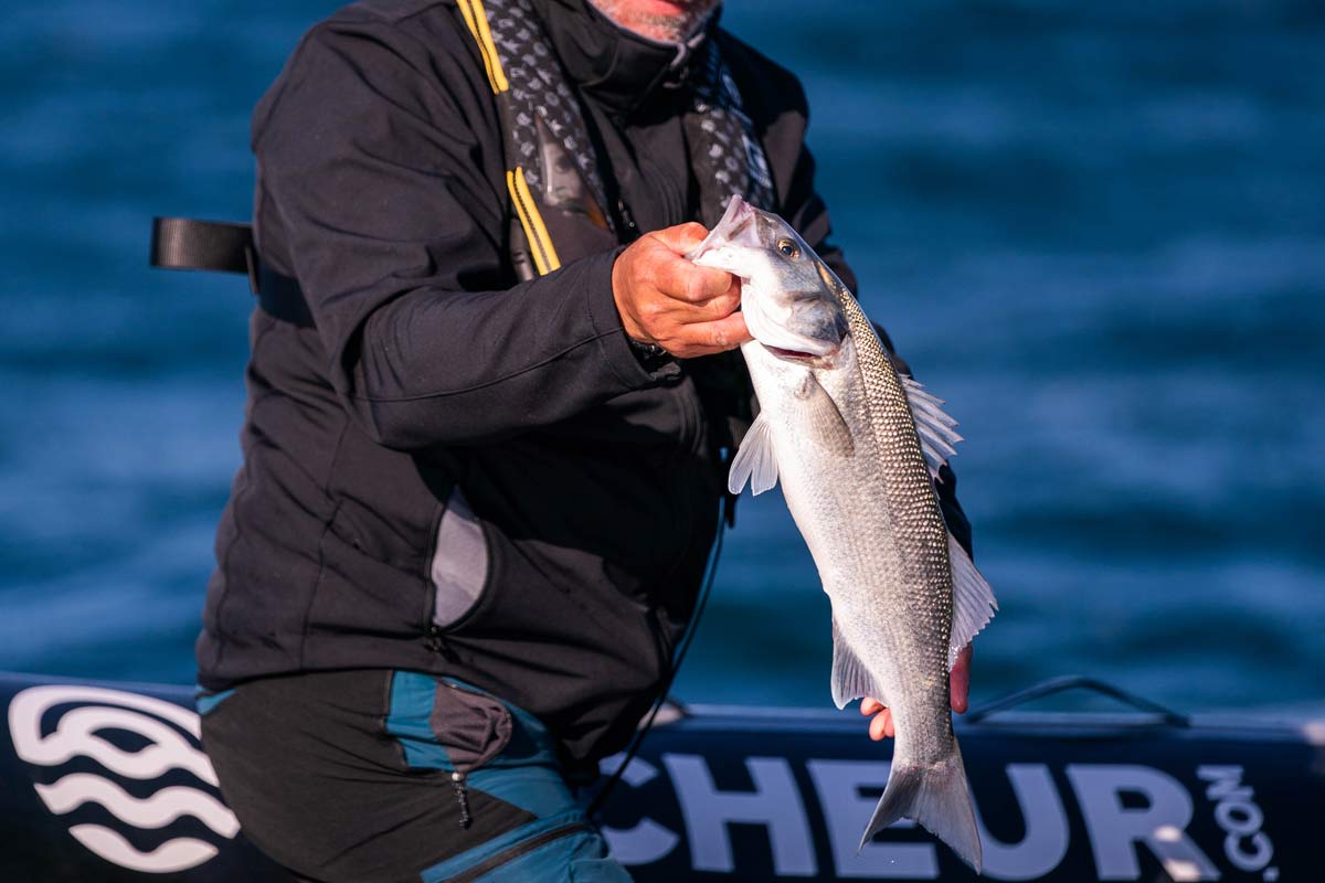 Comment choisir son moulinet pour pêcher le bar aux leurres