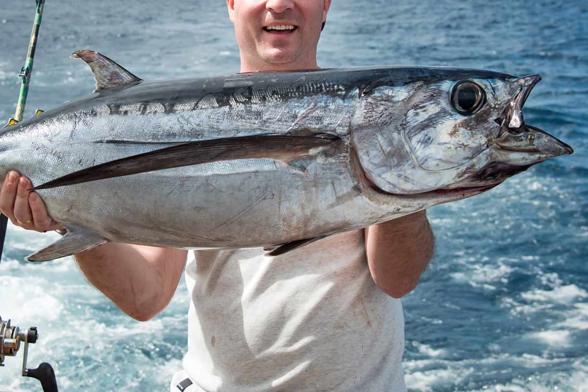 Choisir son moulinet pour la pêche du thon ?