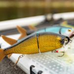 Un seul leurre pour couvrir toutes vos sessions de brochet cet automne? Le Livingston Viper 6 coche toutes les cases !