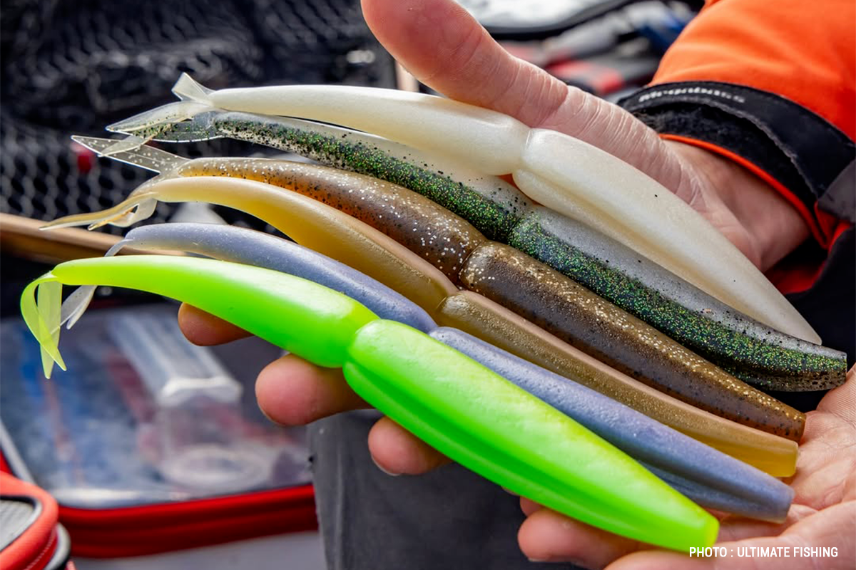 La grande nouveauté pour cet hiver, le One Up V Tail 23cm