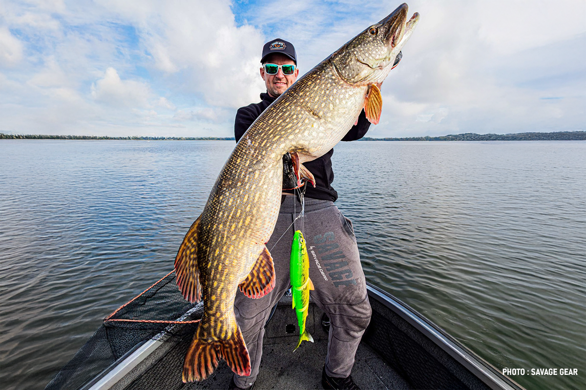 Brochets XXL : comprendre, cibler et provoquer les vrais géants