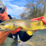 Pourquoi le jerkminnow reste une arme redoutable en rivière ?