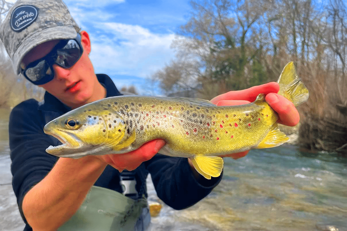 Pourquoi le jerkminnow reste une arme redoutable en rivière ?