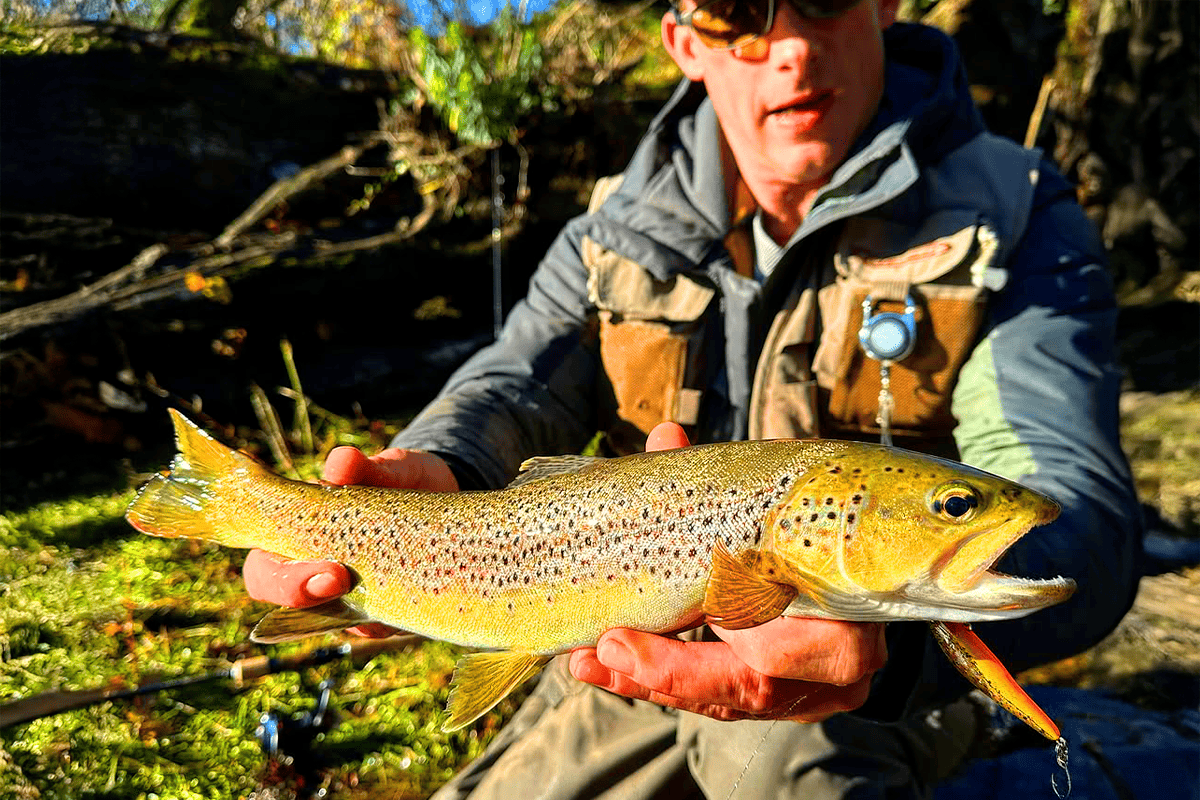Eau froide et truites collées au fond : comment les déclencher ?