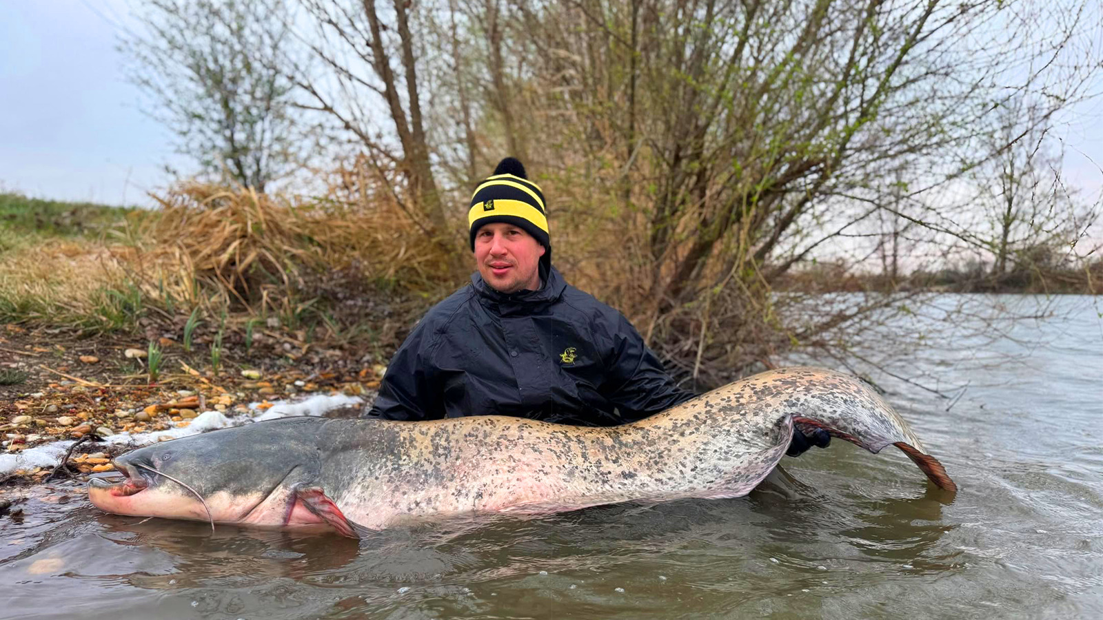 Le silure est-il vraiment l’aspirateur que l’on pense ?