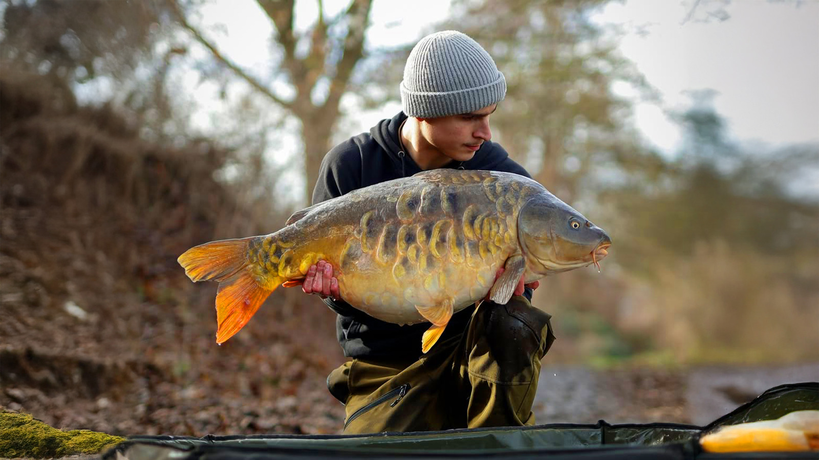 Amorçage du bord à la carpe : voici le guide complet