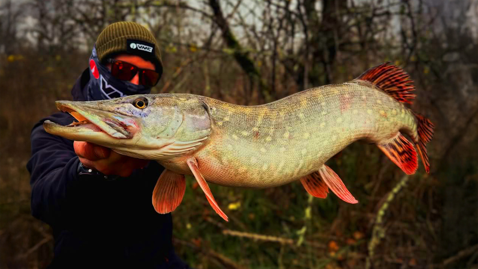 Ouverture brochet : leurre dur ou souple, lequel fait la différence ?