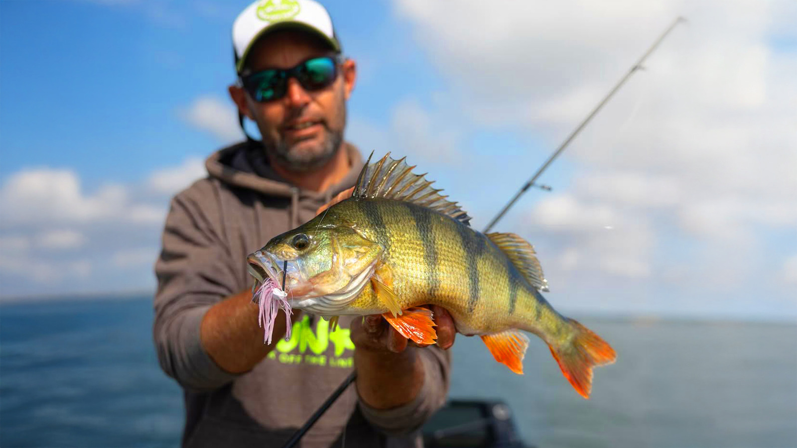 Les températures remontent : les carnassiers sortent de leur léthargie, comment s&rsquo;adapter ?