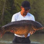 Tu n&rsquo;oses pas amorcer assez et c&rsquo;est pour ça que tu rates des carpes