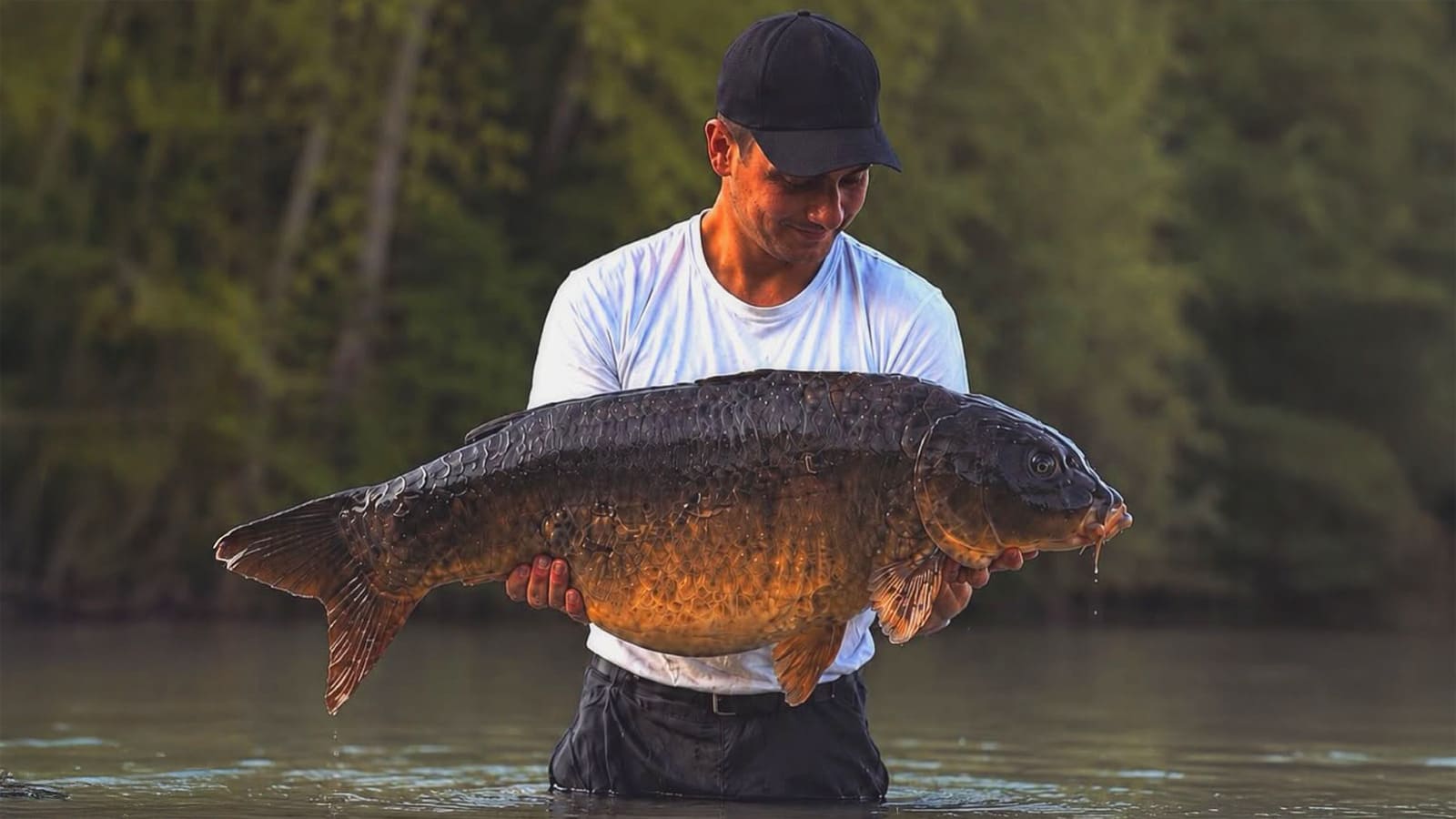 Tu n&rsquo;oses pas amorcer assez et c&rsquo;est pour ça que tu rates des carpes