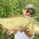 Le poisson de surface le plus violent de nos rivières et presque personne ne le pêche