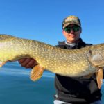 Ce leurre provoque des attaques là où les shads et les jerkbaits ne font plus rien