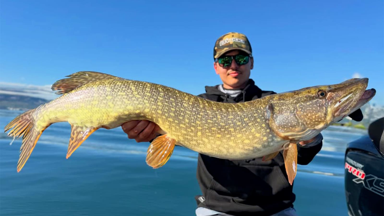 Ce leurre provoque des attaques là où les shads et les jerkbaits ne font plus rien