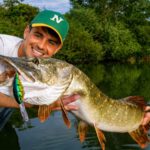 Crankbait et été, une histoire d’amour que beaucoup de pêcheurs sous-estiment