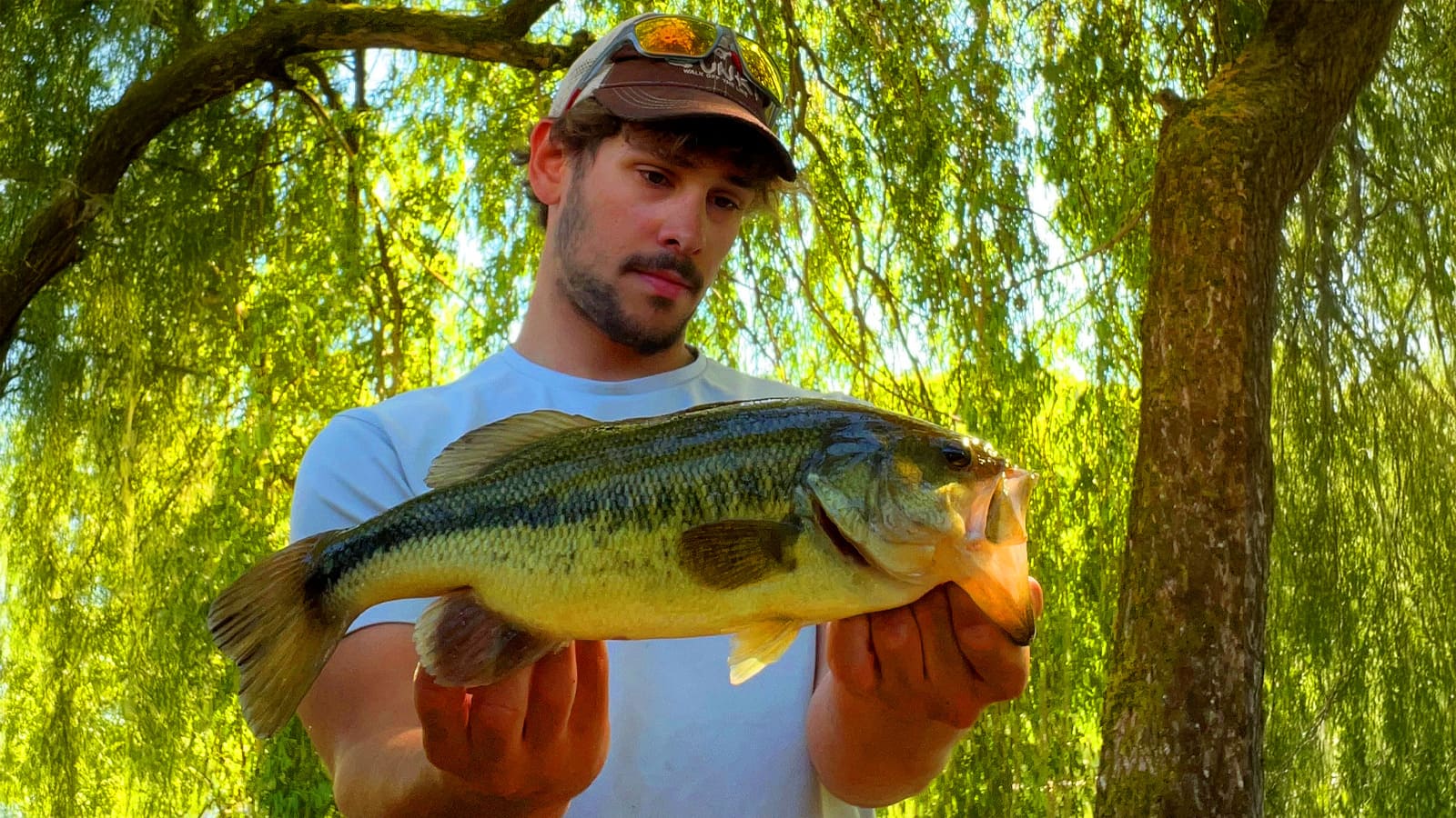 La technique de pêche la plus simple qui m’a sauvé plus d’une pêche en été