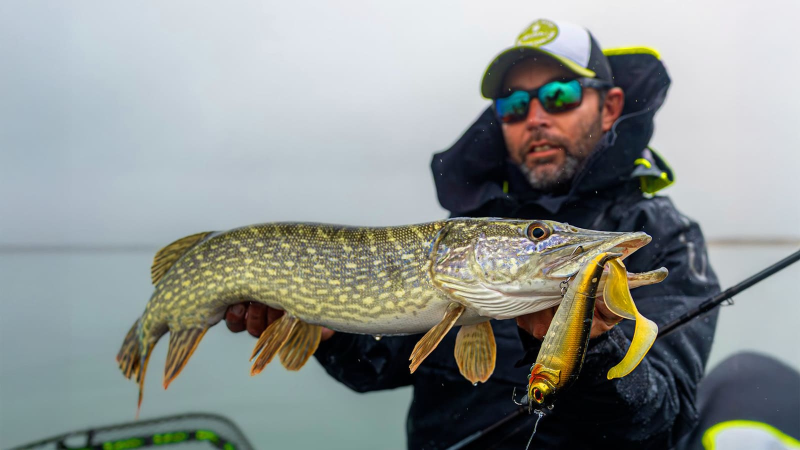 Le froid revient, le big bait aussi… mais pas de n’importe quelle manière
